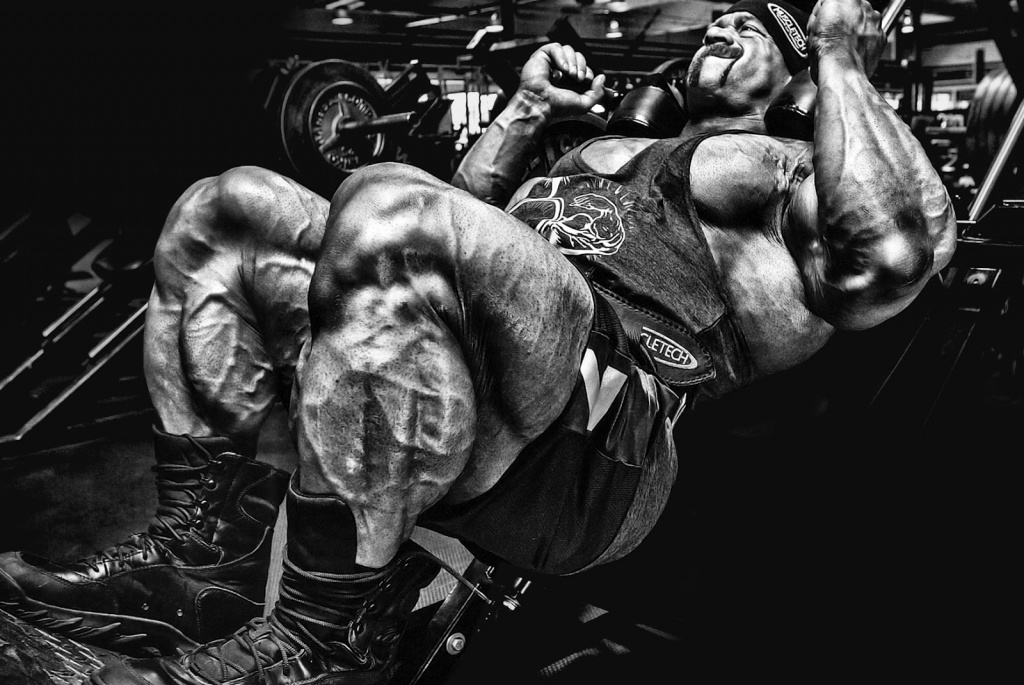 b6e9602faf06381621746291db87eda7